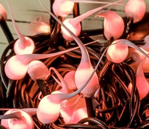 Blush Hand Dipped String Lights - Light Strand