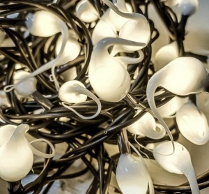 Ivory Hand Dipped LED Light Strands 