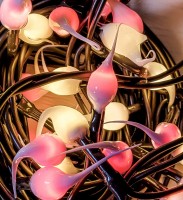 Valentines Pink Mix Hand Dipped LED String Lights